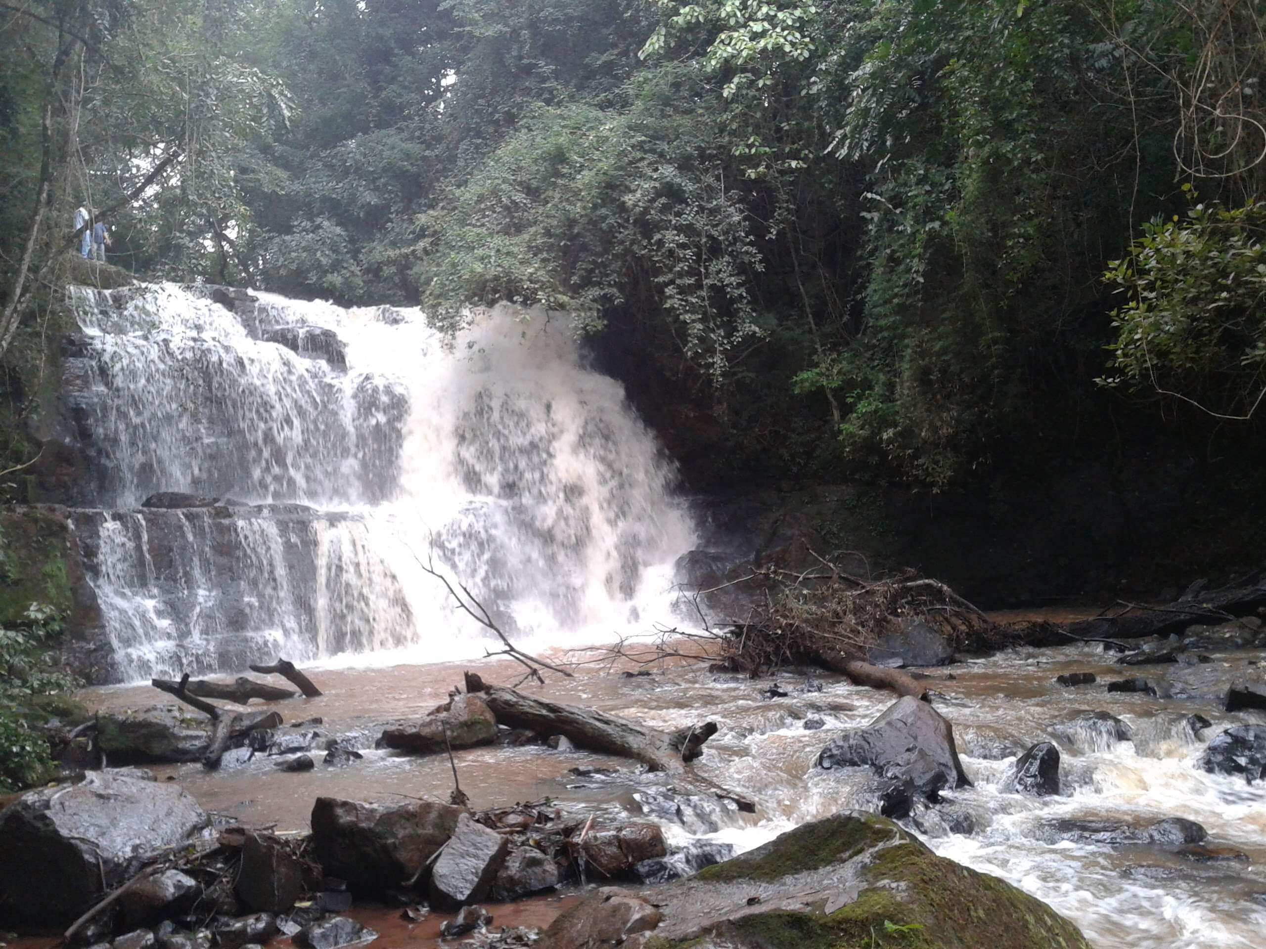 Registro de marca em Ourizona, Paraná
