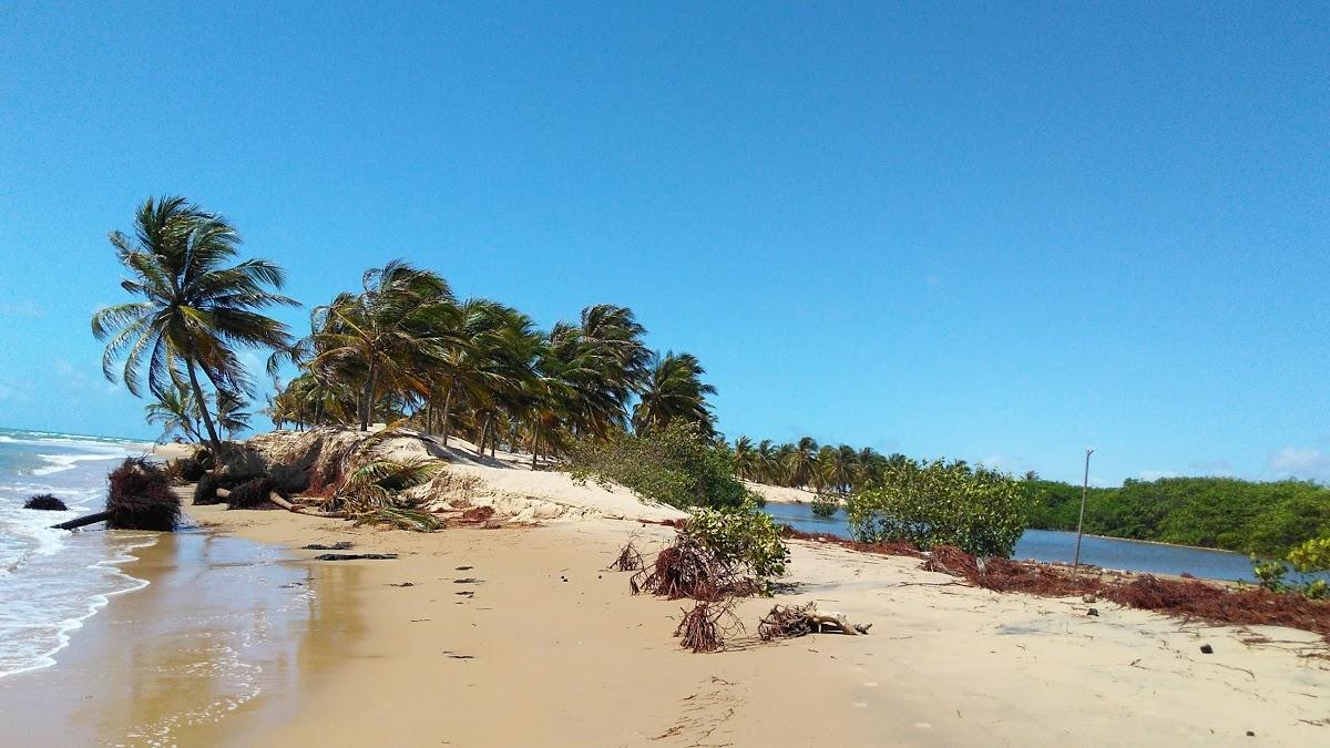 Registro de marca em Pacatuba, Sergipe