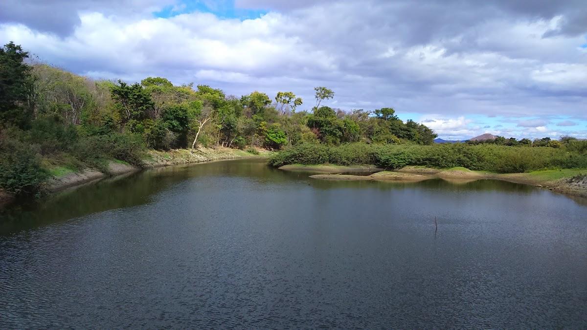 Registro de marca em Pai Pedro, Minas Gerais