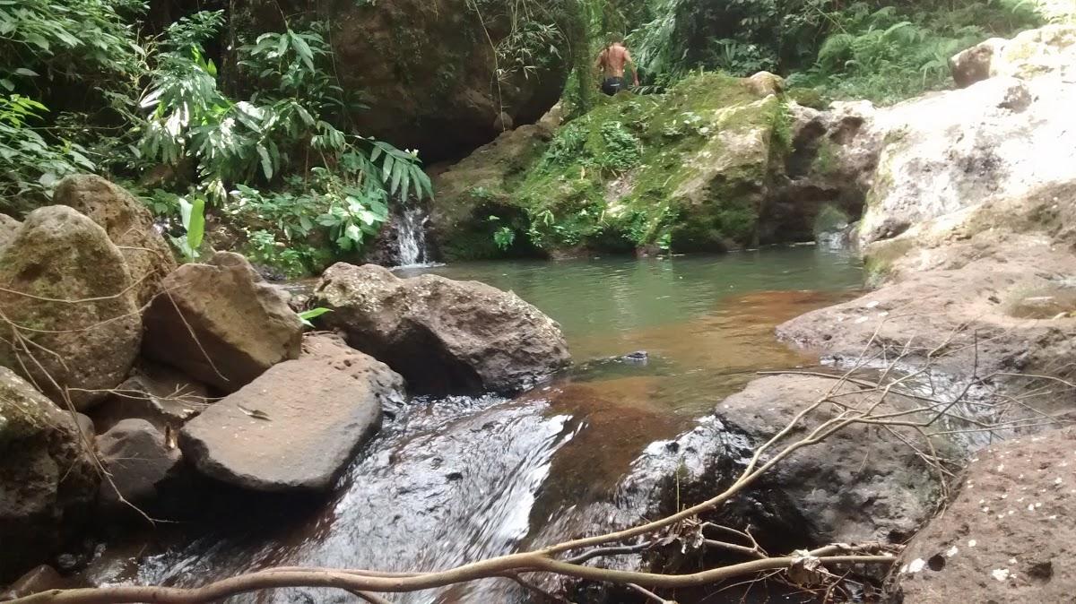Registro de marca em Paial, Santa Catarina