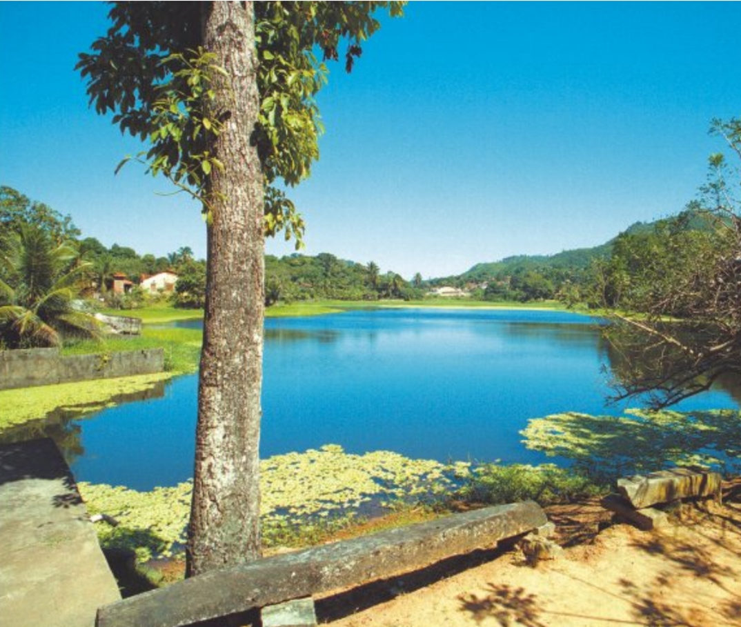 Registro de marca em Palmácia, Ceará