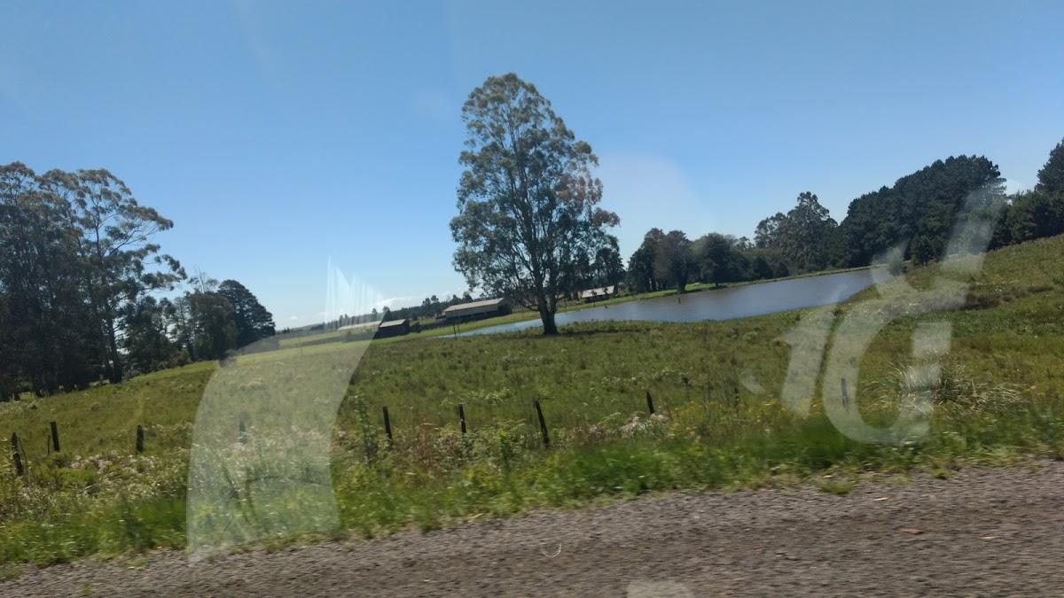 Registro de marca em Palmas, Paraná