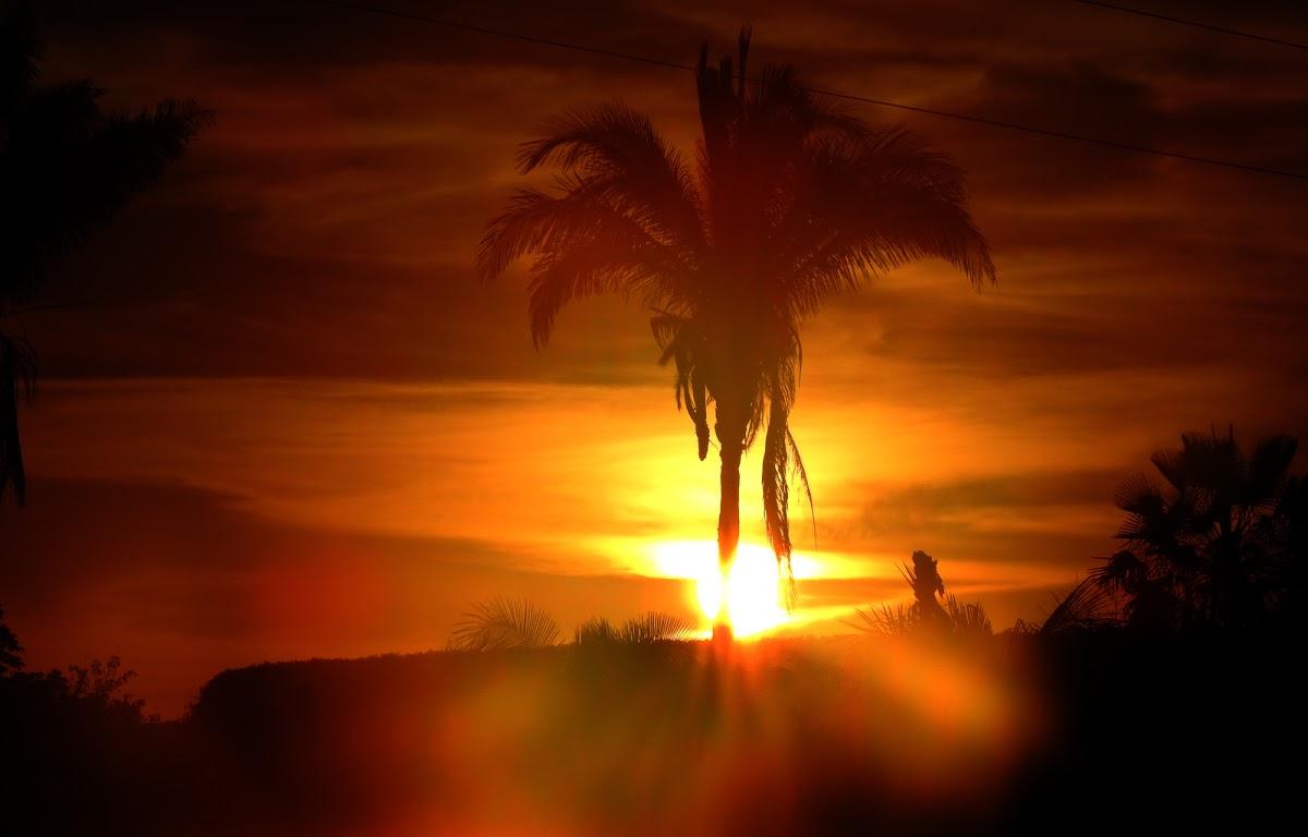 Registro de marca em Palmeirais, Piauí