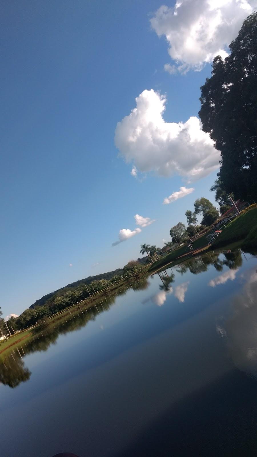 Registro de marca em Palminópolis, Goiás