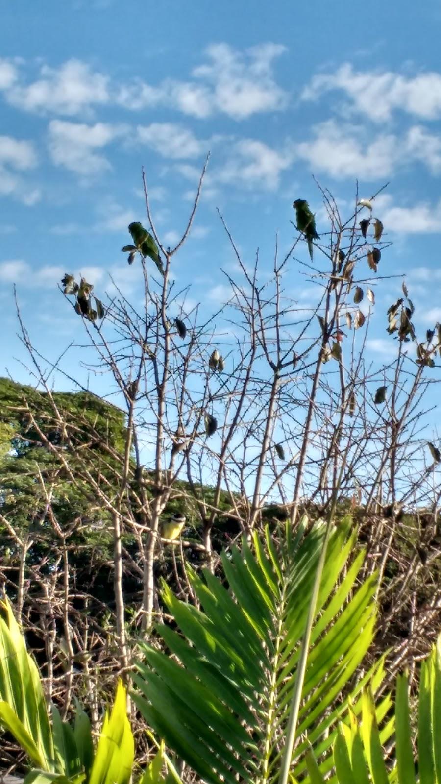 Registro de marca em Palotina, Paraná