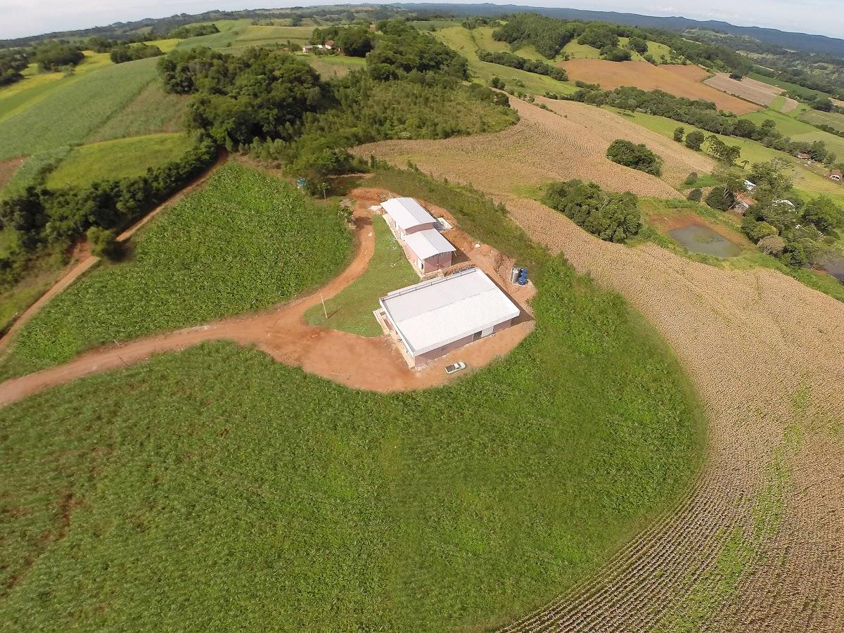 Registro de marca em Paraíso, Santa Catarina
