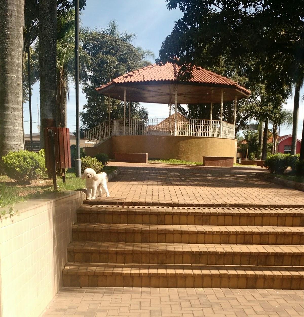 Registro de marca em Paraíso, São Paulo