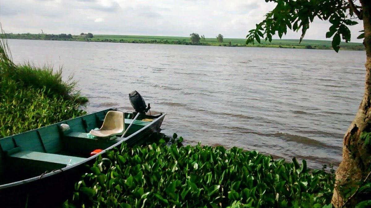 Registro de marca em Paranapoema, Paraná