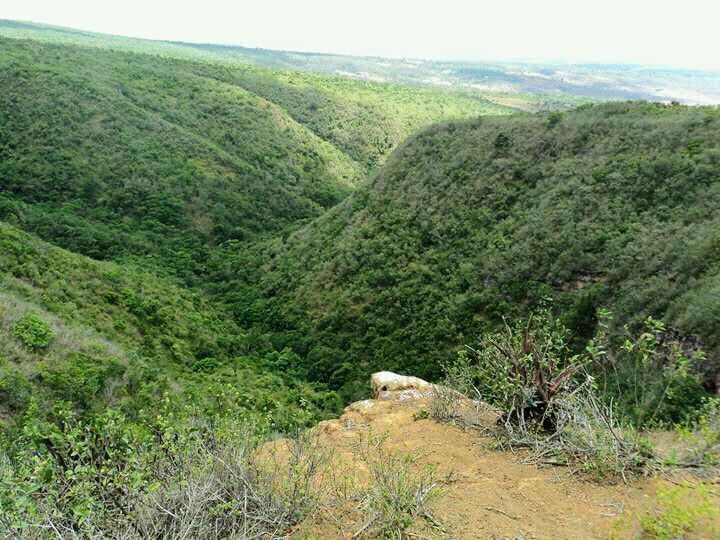 Registro de marca em Paranatama, Pernambuco