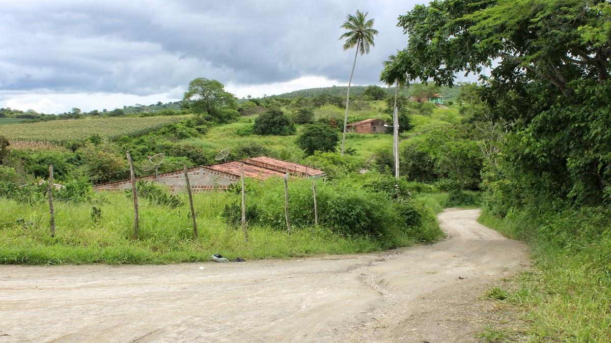 Registro de marca em Passira, Pernambuco