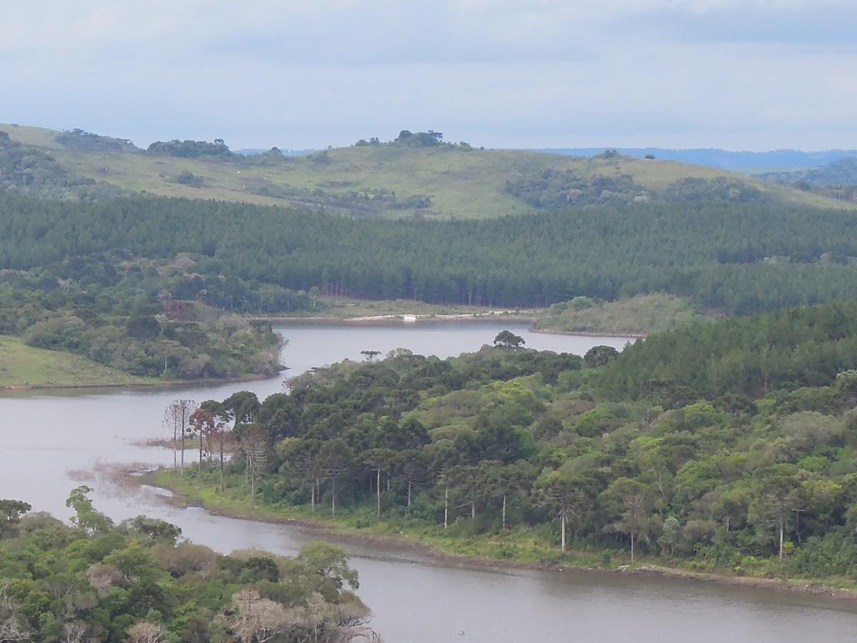 Registro de marca em Passos Maia, Santa Catarina