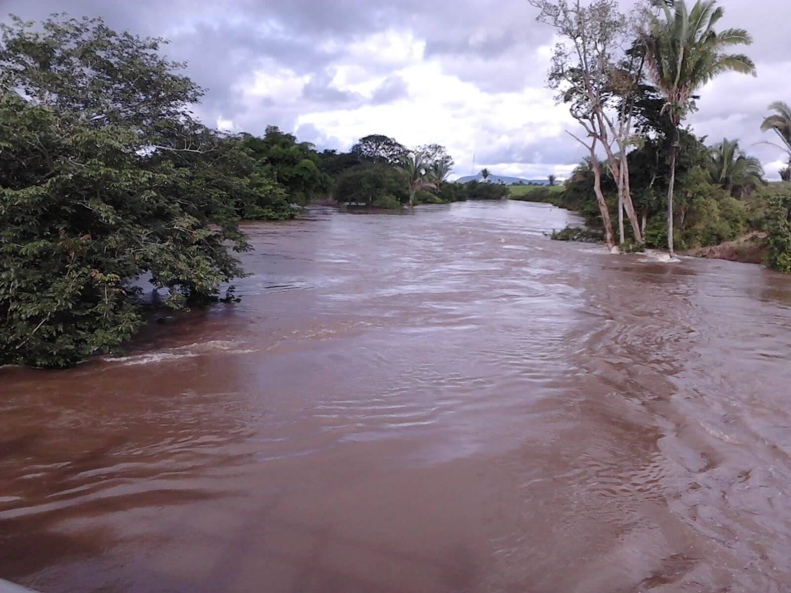 Registro de marca em Pau D'Arco, Pará