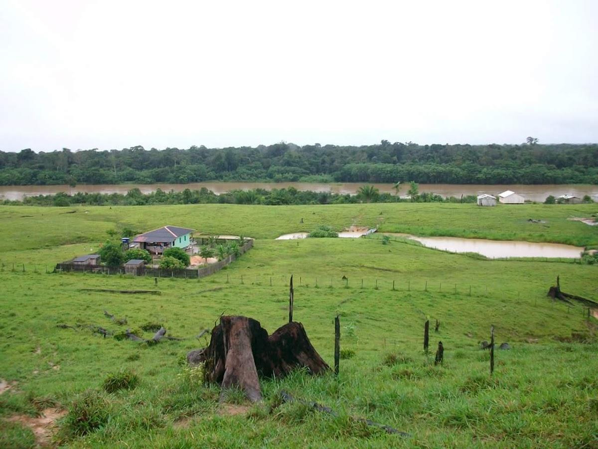Registro de marca em Pauini, Amazonas