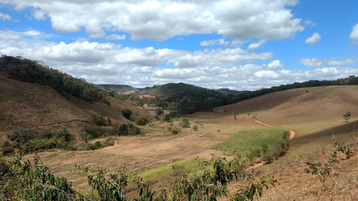 Registro de marca em Paula Cândido, Minas Gerais