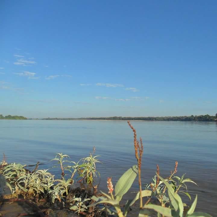 Registro de marca em Pedras de Maria da Cruz, Minas Gerais