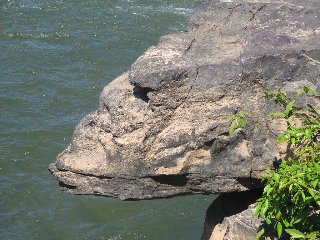 Registro de marca em Pedro Afonso, Tocantins