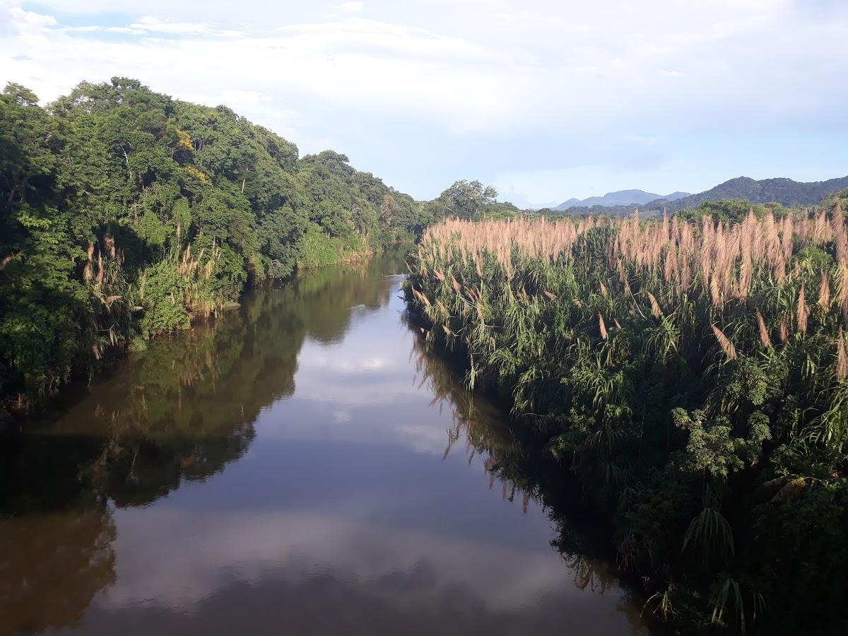 Registro de marca em Pedro De Toledo, São Paulo