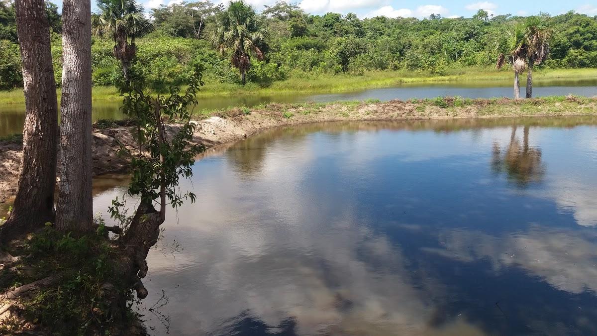 Registro de marca em Pedro do Rosário, Maranhão