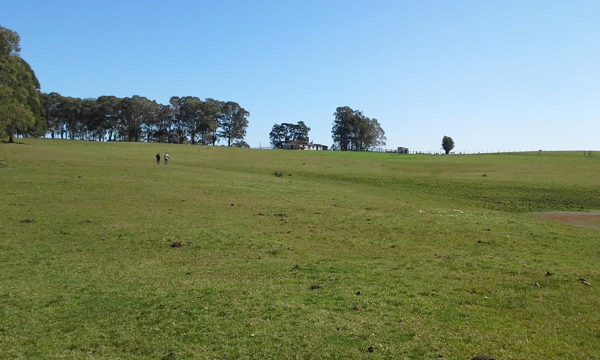 Registro de marca em Pedro Osório, Rio Grande do Sul