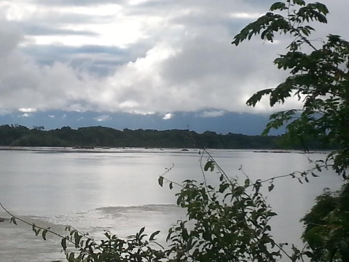 Registro de marca em Peixe, Tocantins