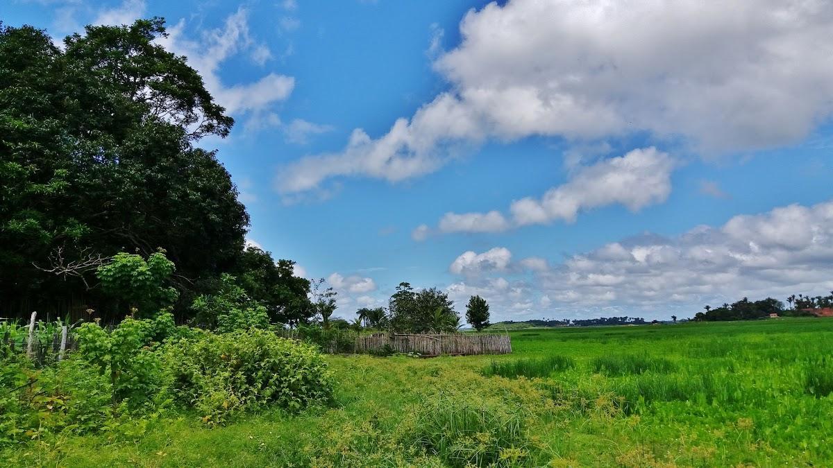 Registro de marca em Peri Mirim, Maranhão