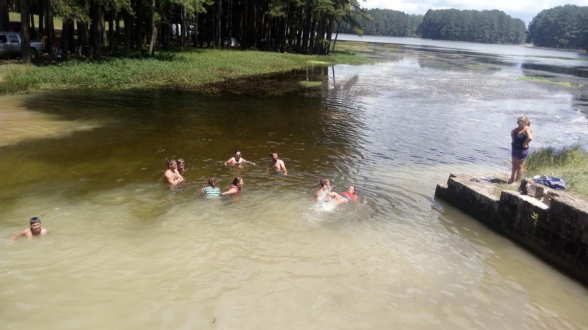 Registro de marca em Petrolândia, Santa Catarina