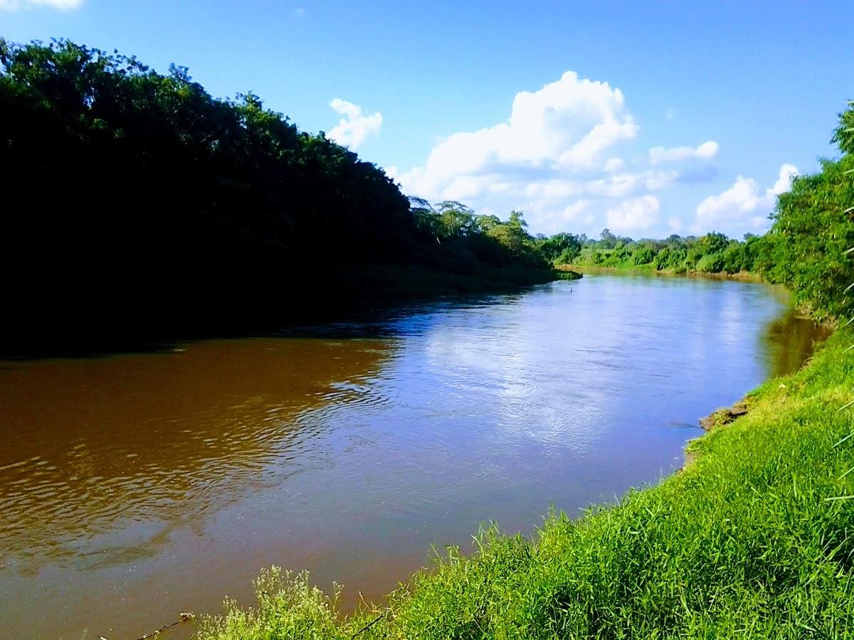 Registro de marca em Pindamonhangaba, São Paulo