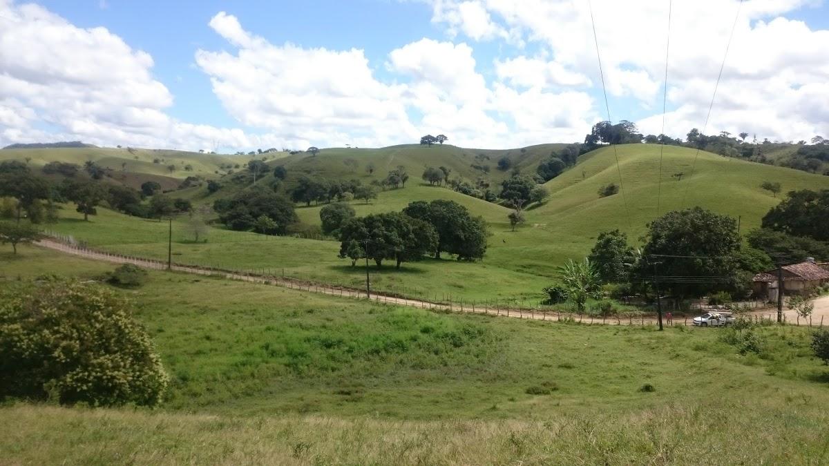 Registro de marca em Pindoba, Alagoas