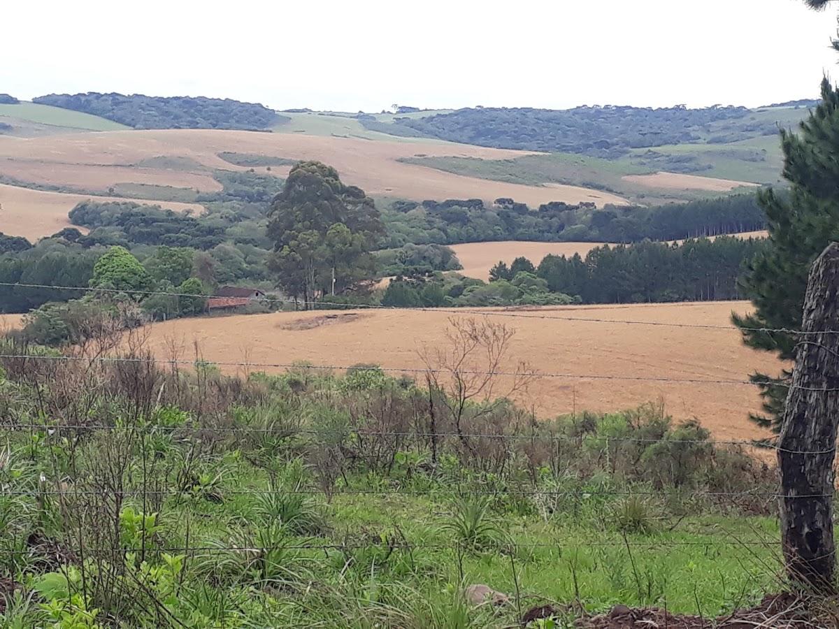 Registro de marca em Pinhal da Serra, Rio Grande do Sul