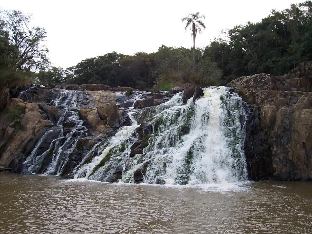 Registro de marca em Pinhalão, Paraná
