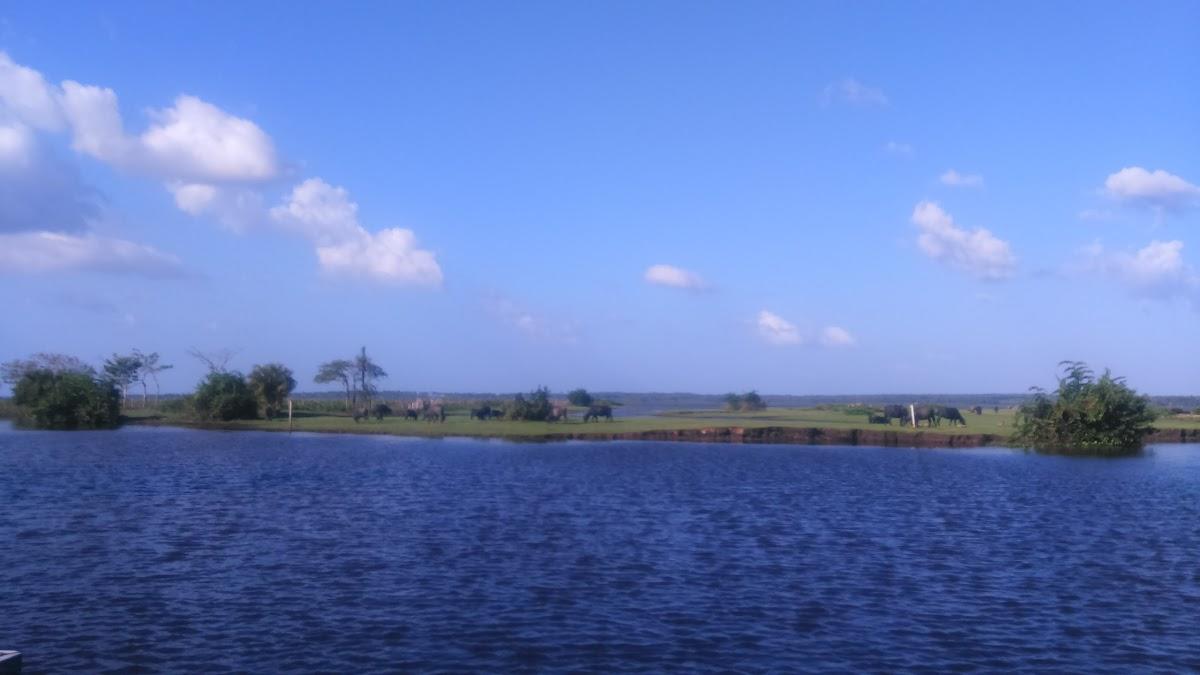 Registro de marca em Pinheiro, Maranhão