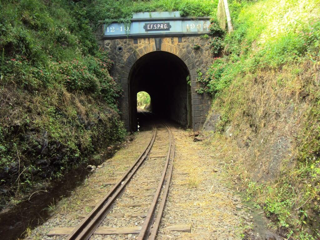 Registro de marca em Pinheiro Preto, Santa Catarina