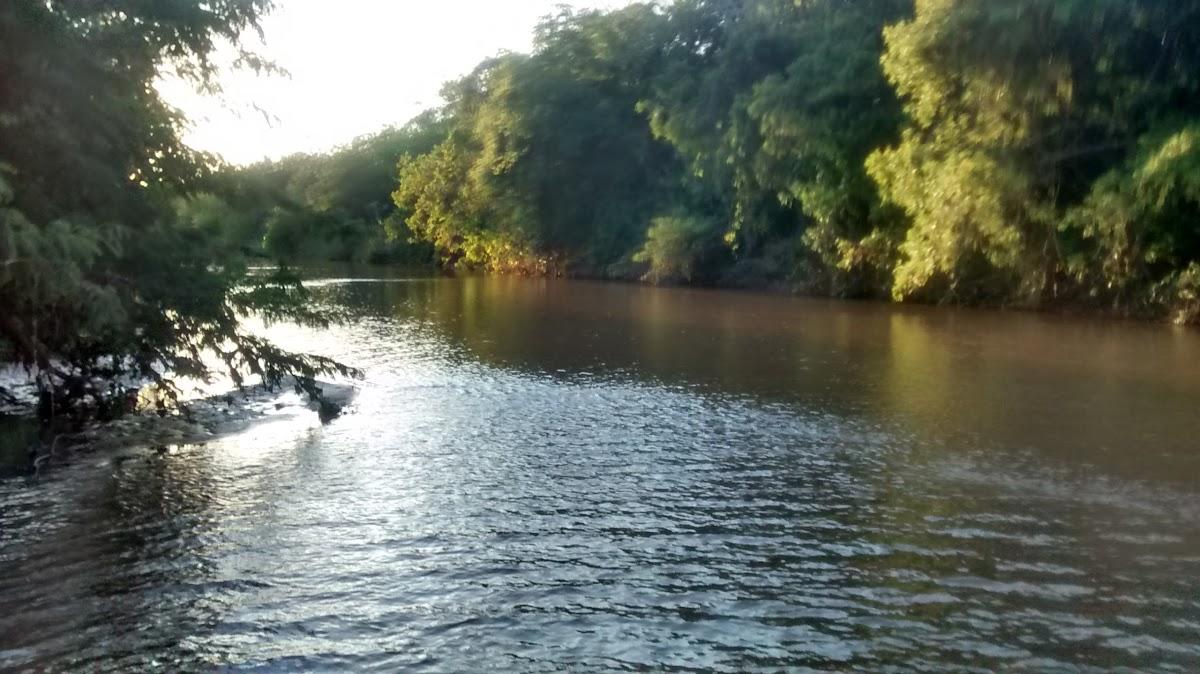 Registro de marca em Pintópolis, Minas Gerais