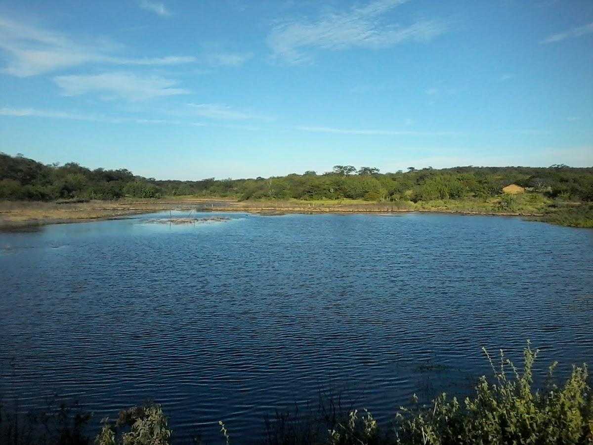 Registro de marca em Pio IX, Piauí