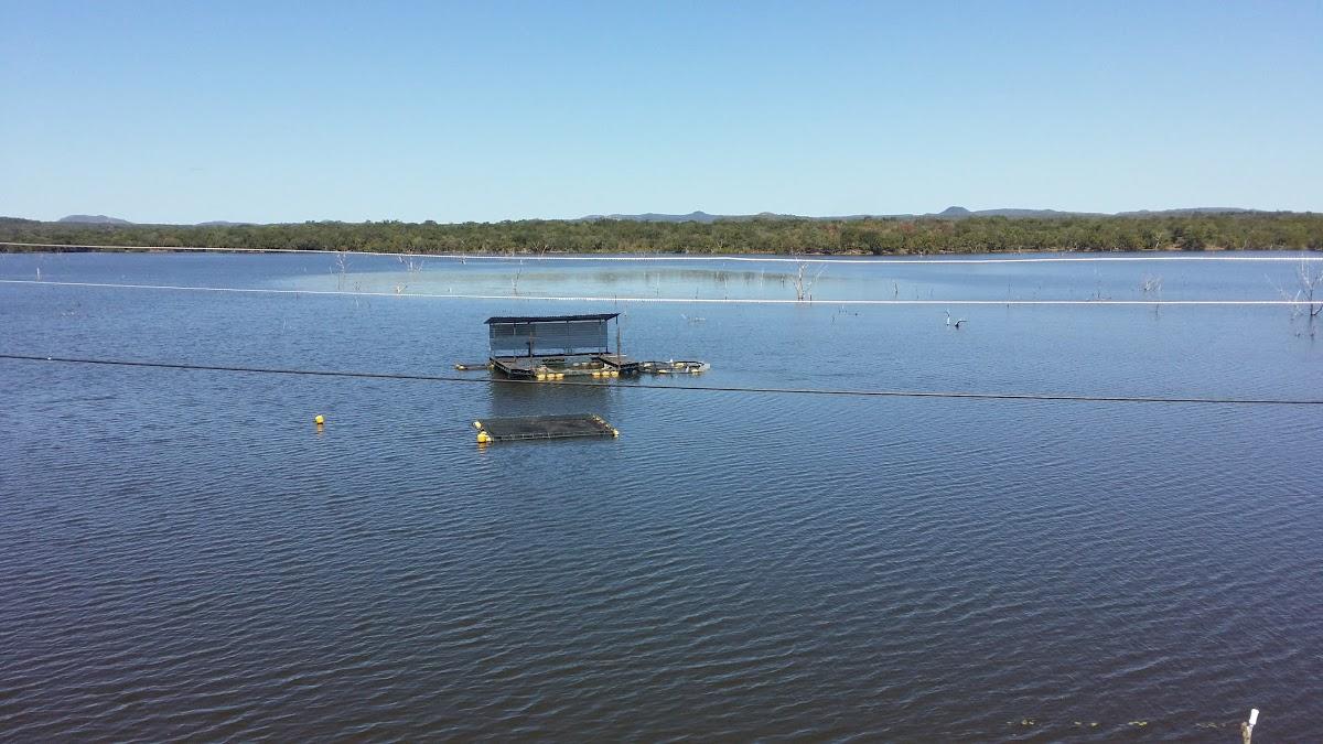 Registro de marca em Piracuruca, Piauí