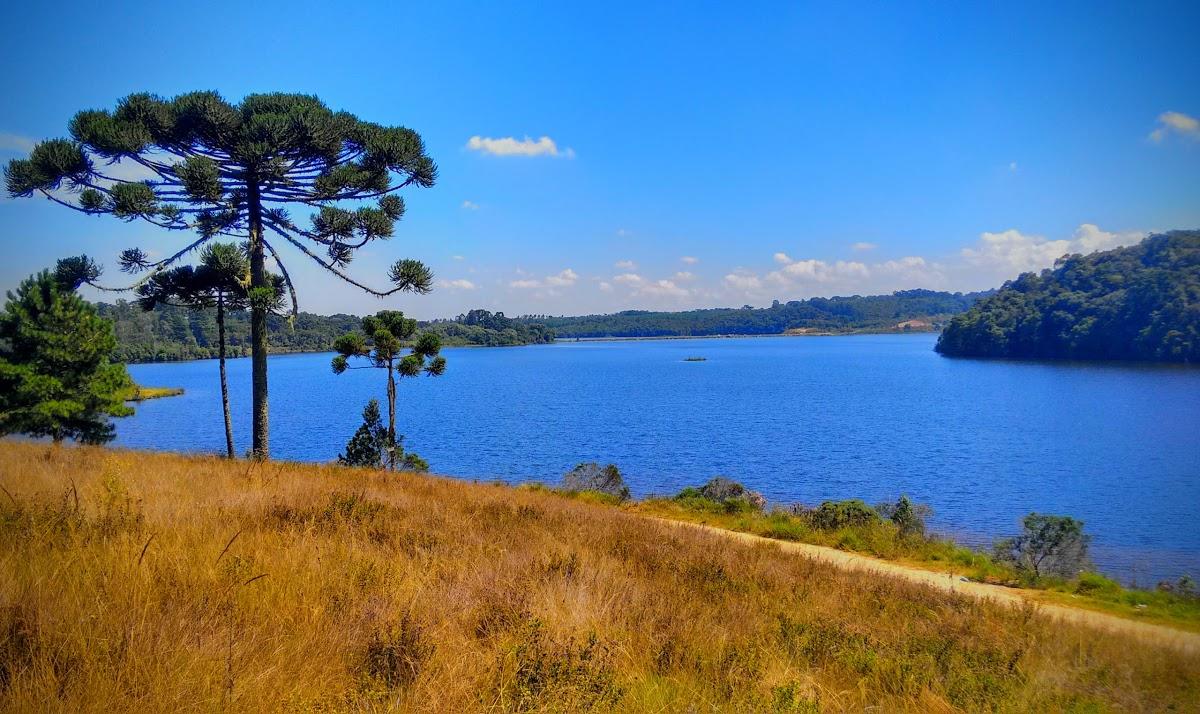 Registro de marca em Piraquara, Paraná