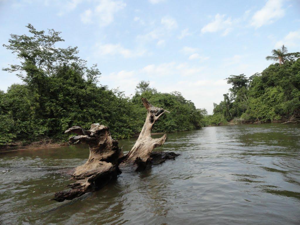 Registro de marca em Piraquê, Tocantins