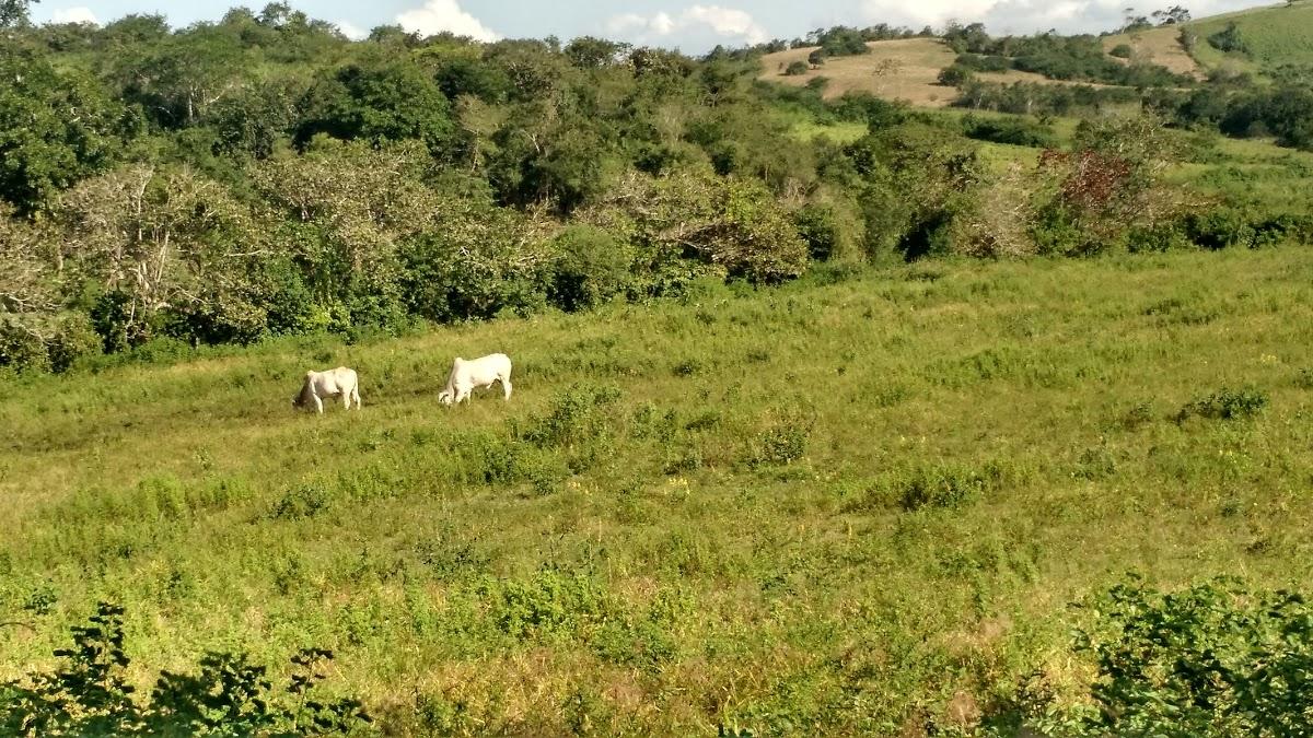 Registro de marca em Pirpirituba, Paraíba