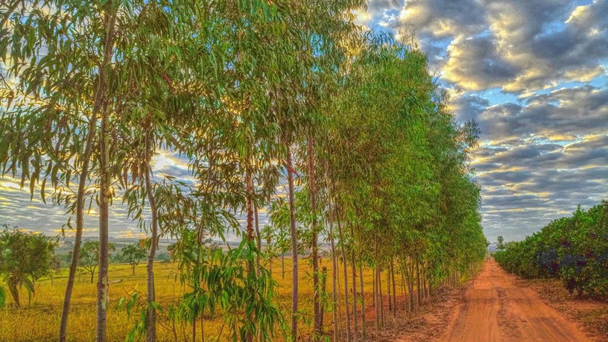 Registro de marca em Pontalinda, São Paulo