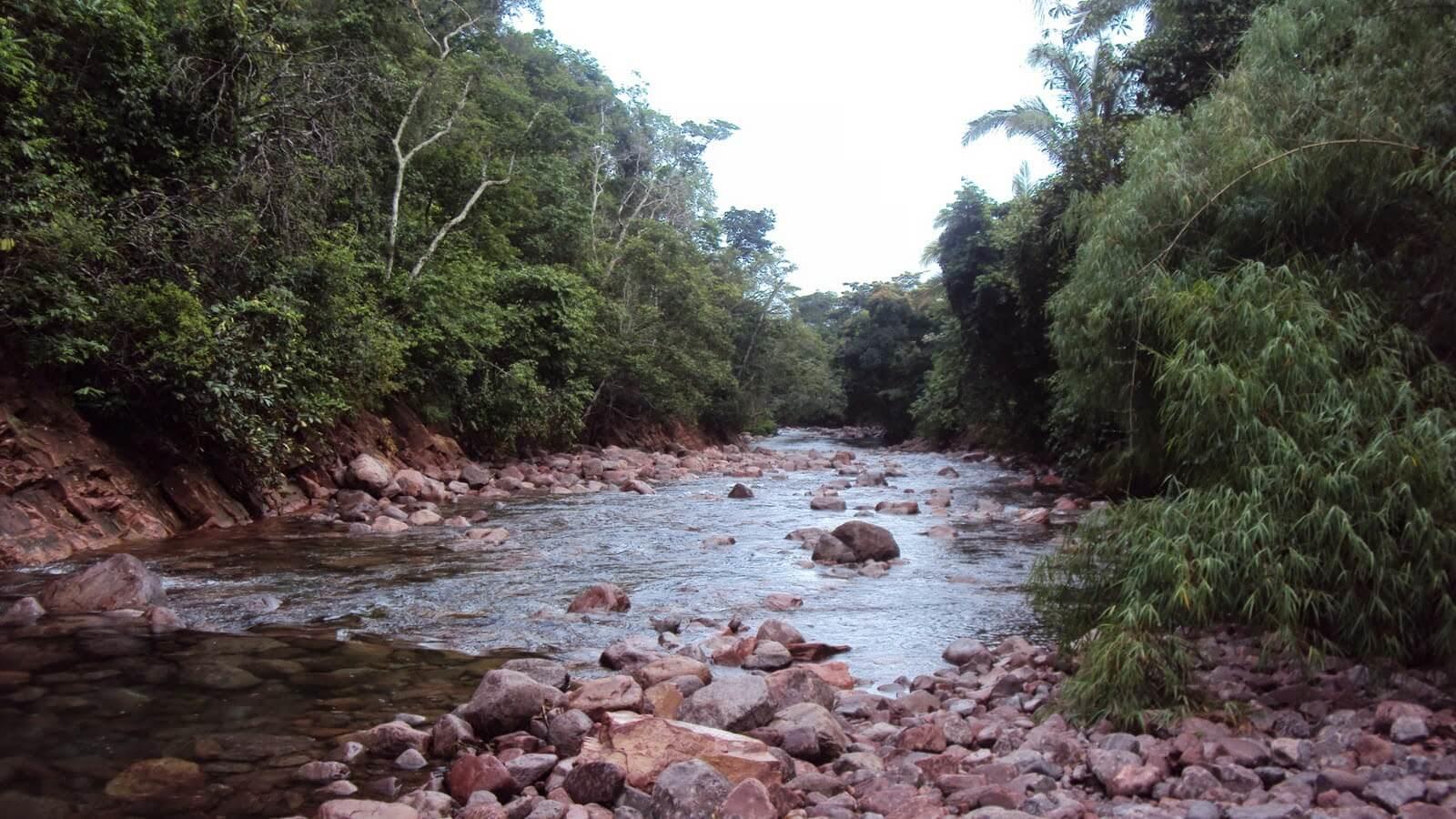 Registro de marca em Pontes e Lacerda, Mato Grosso