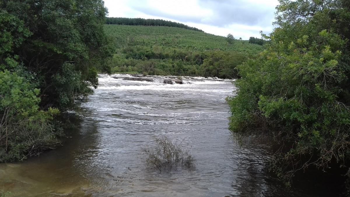 Registro de marca em Porto Amazonas, Paraná