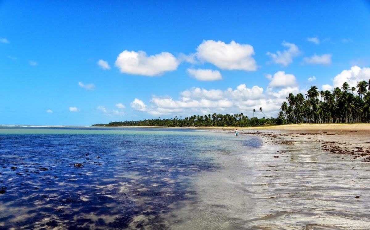 Registro de marca em Porto de Pedras, Alagoas