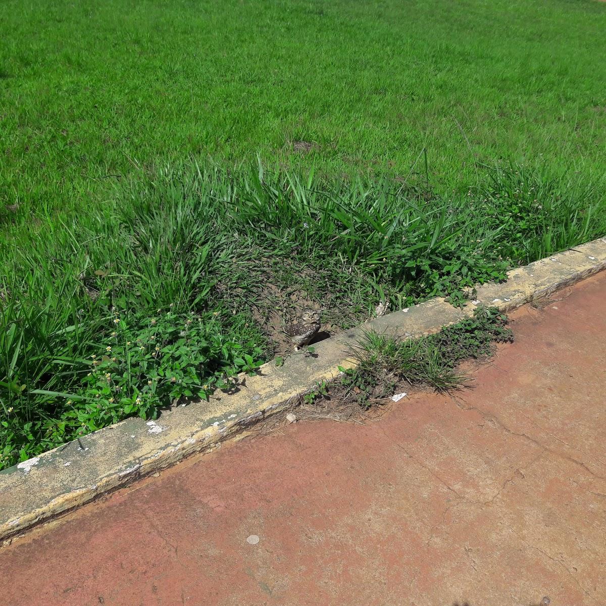 Registro de marca em Porto Esperidião, Mato Grosso