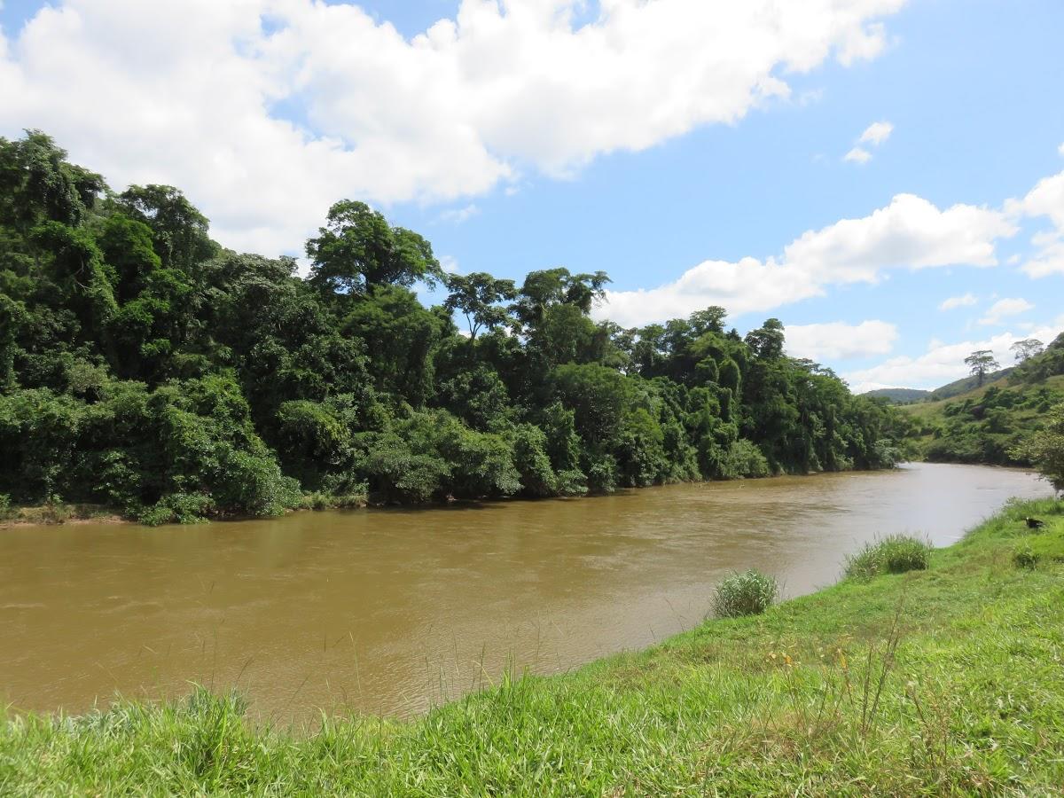 Registro de marca em Porto Firme, Minas Gerais