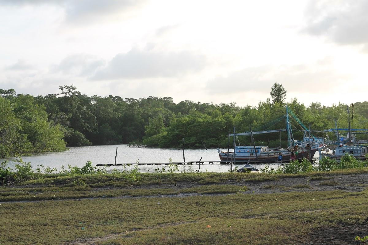 Registro de marca em Porto Rico do Maranhão, Maranhão