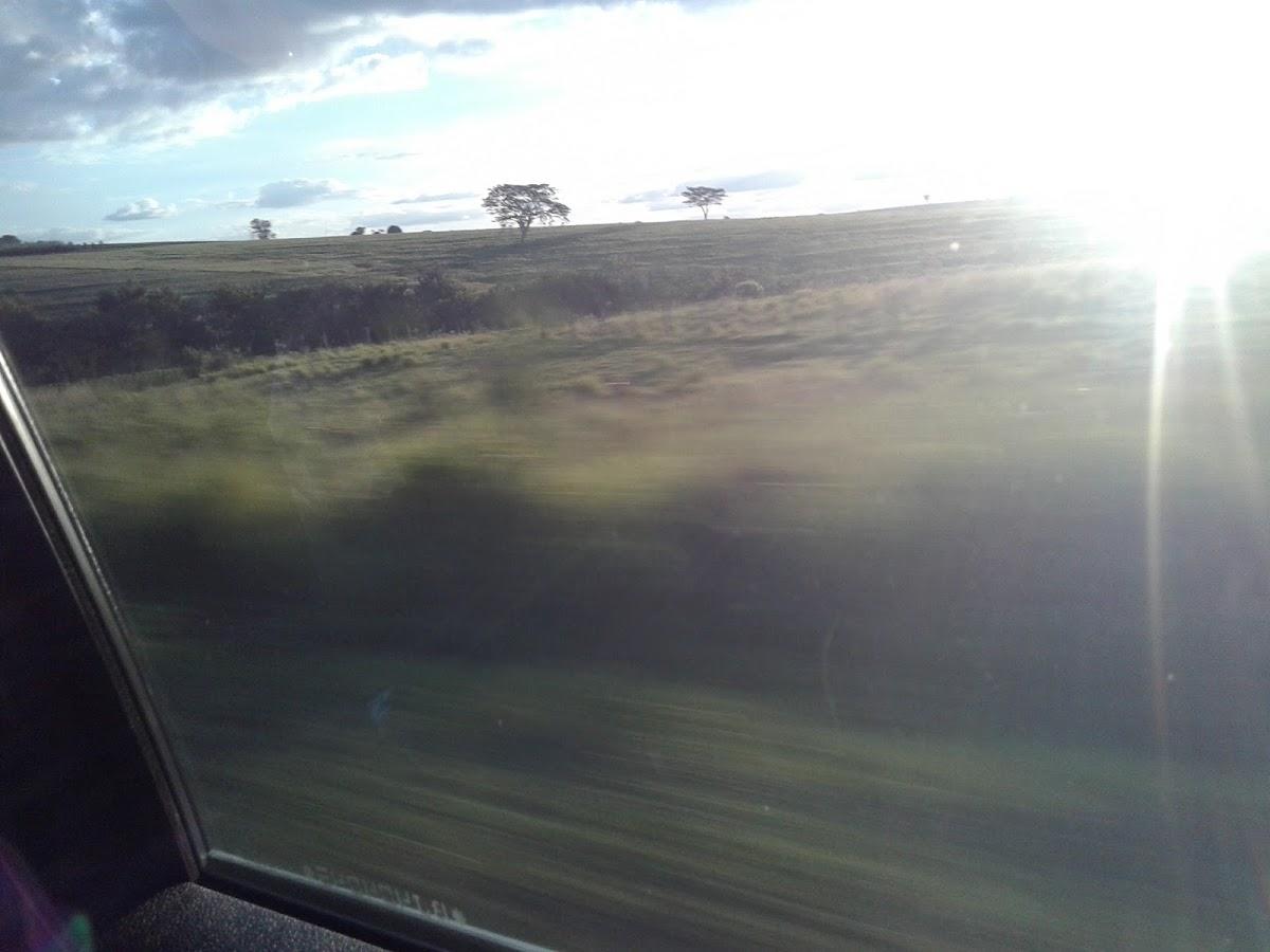 Registro de marca em Pracinha, São Paulo