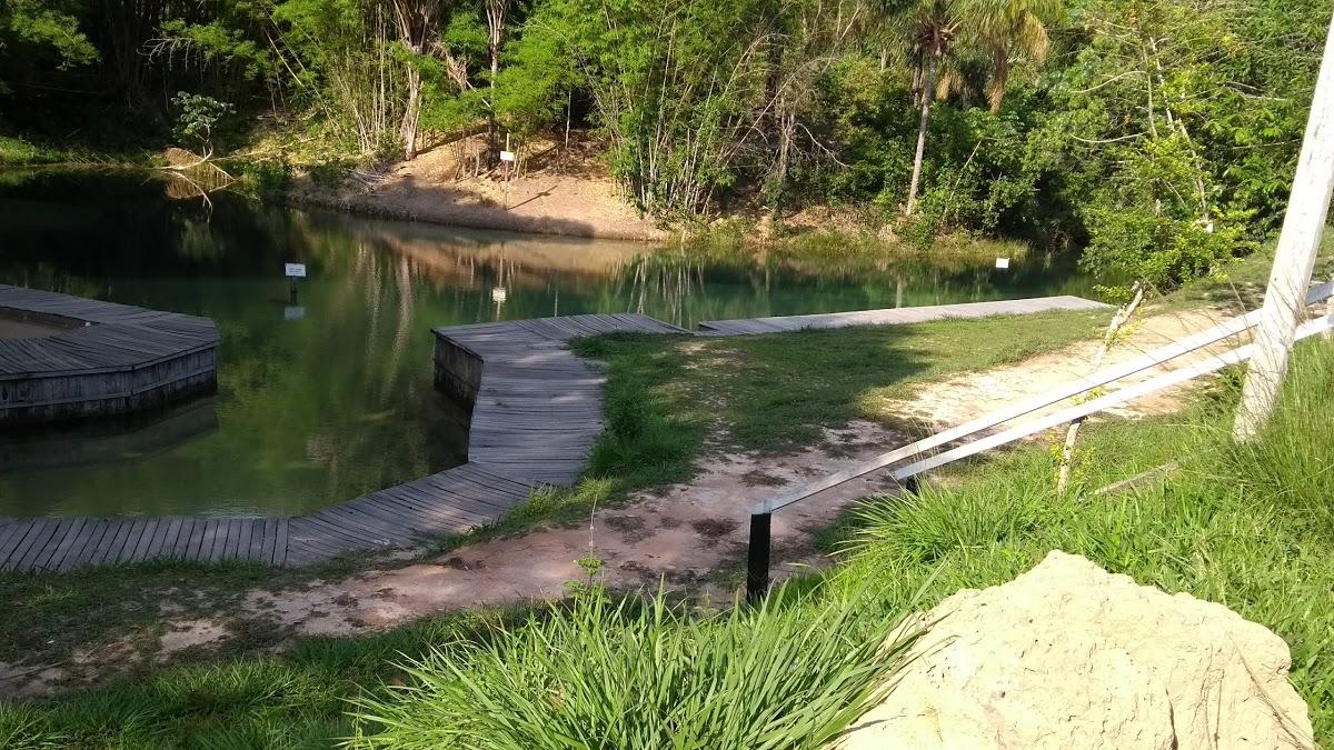 Registro de marca em Primavera de Rondônia, Rondônia