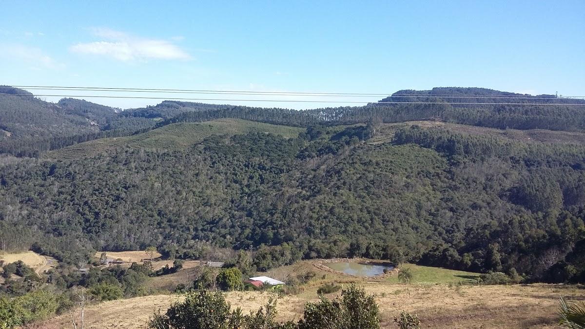 Registro de marca em Progresso, Rio Grande do Sul