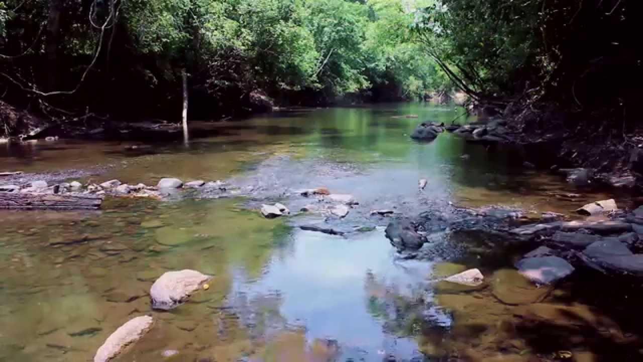 Registro de marca em Pugmil, Tocantins