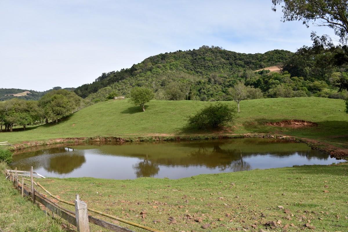 Registro de marca em Putinga, Rio Grande do Sul